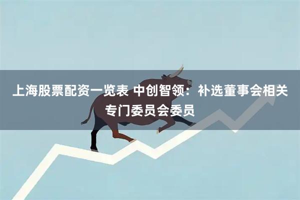 上海股票配资一览表 中创智领：补选董事会相关专门委员会委员